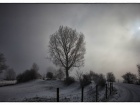 Flakkee in de winter